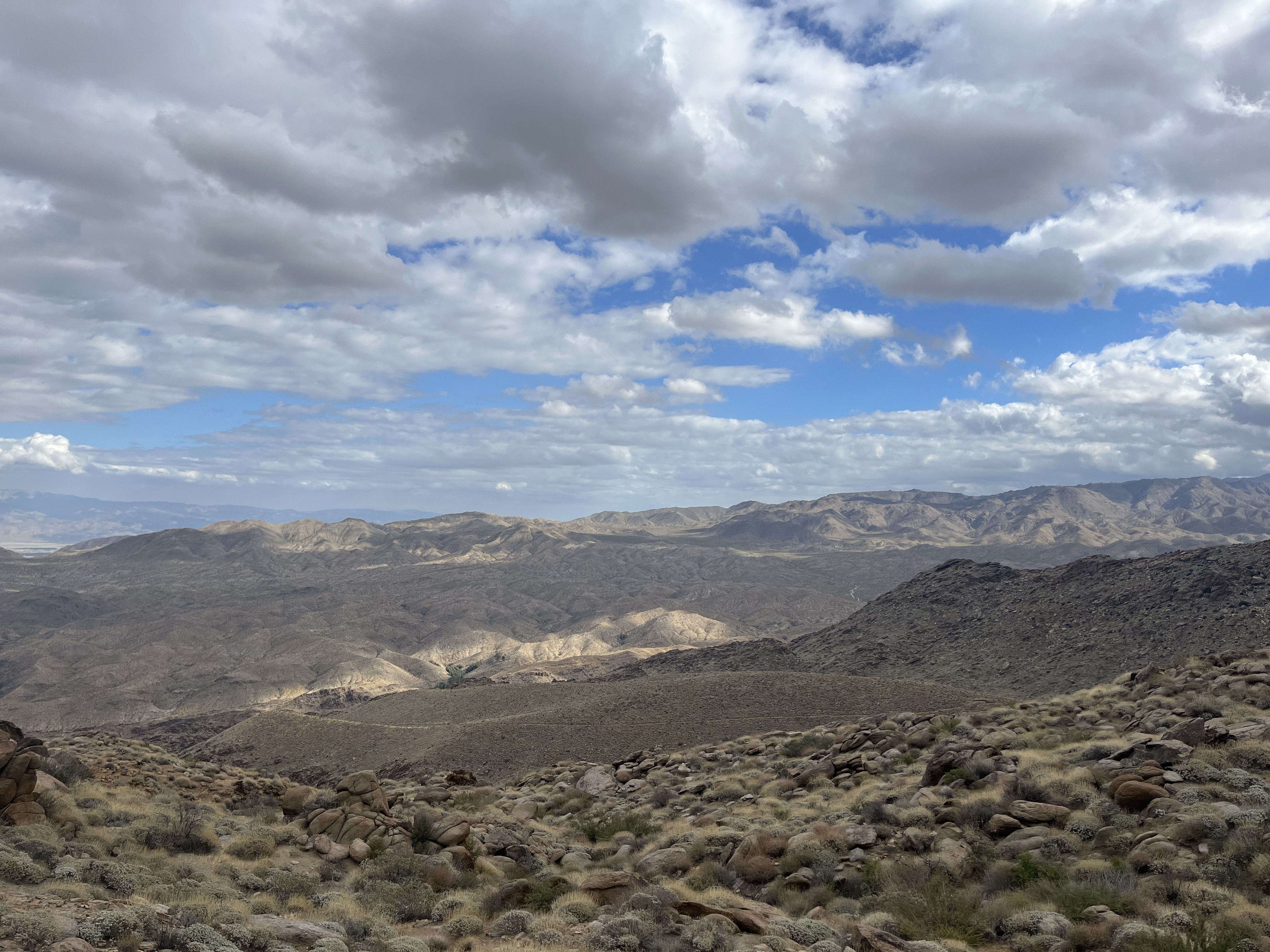 Twilight changes when you’re dead…